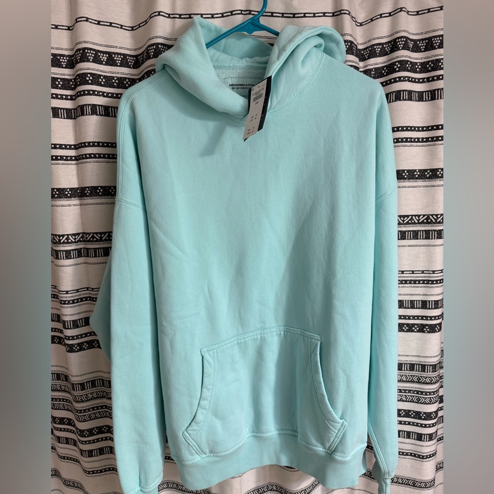 Abercrombie & Fitch Mint Green Sweatshirt